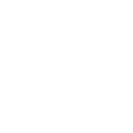 Auto Icon